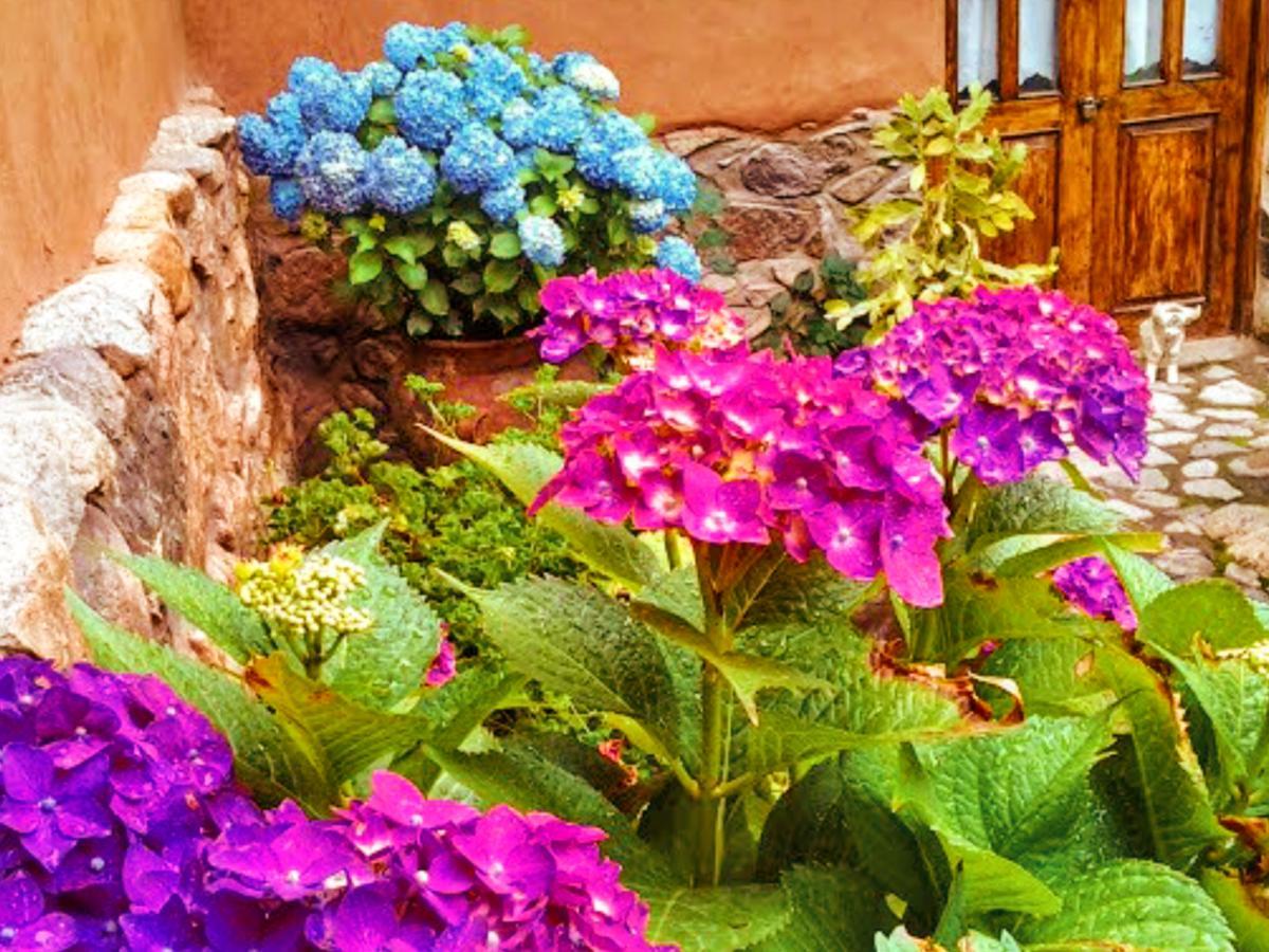 Lizzy Wasi Urubamba Hotel Екстериор снимка